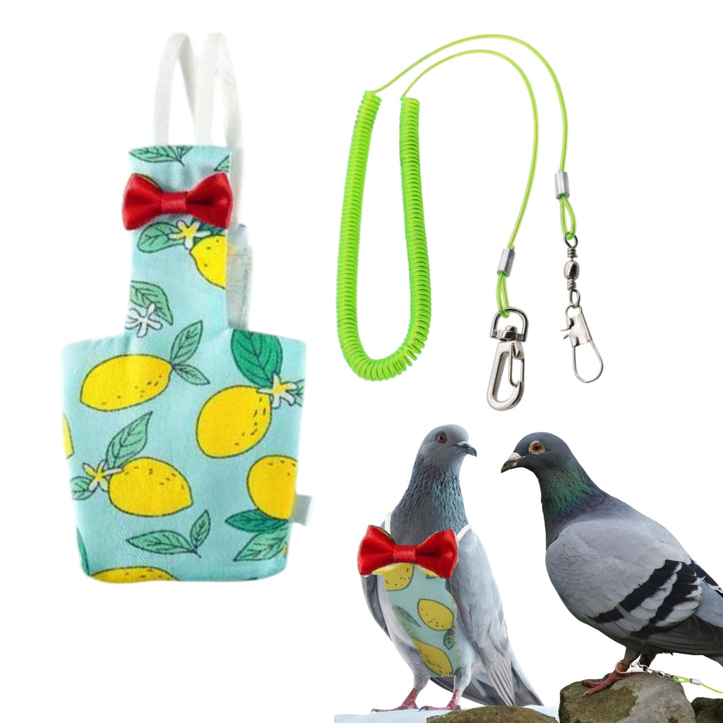 Pigeon Diaper Harness and Bird Leash Diapers for Birds with Leash Bird Diapers for Pigeons Bird Diapers Pigeon Pants for Cockatiel African Grey Parrot Budgie Bird Cage Accessories (M-Green)