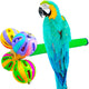 Sticky Image