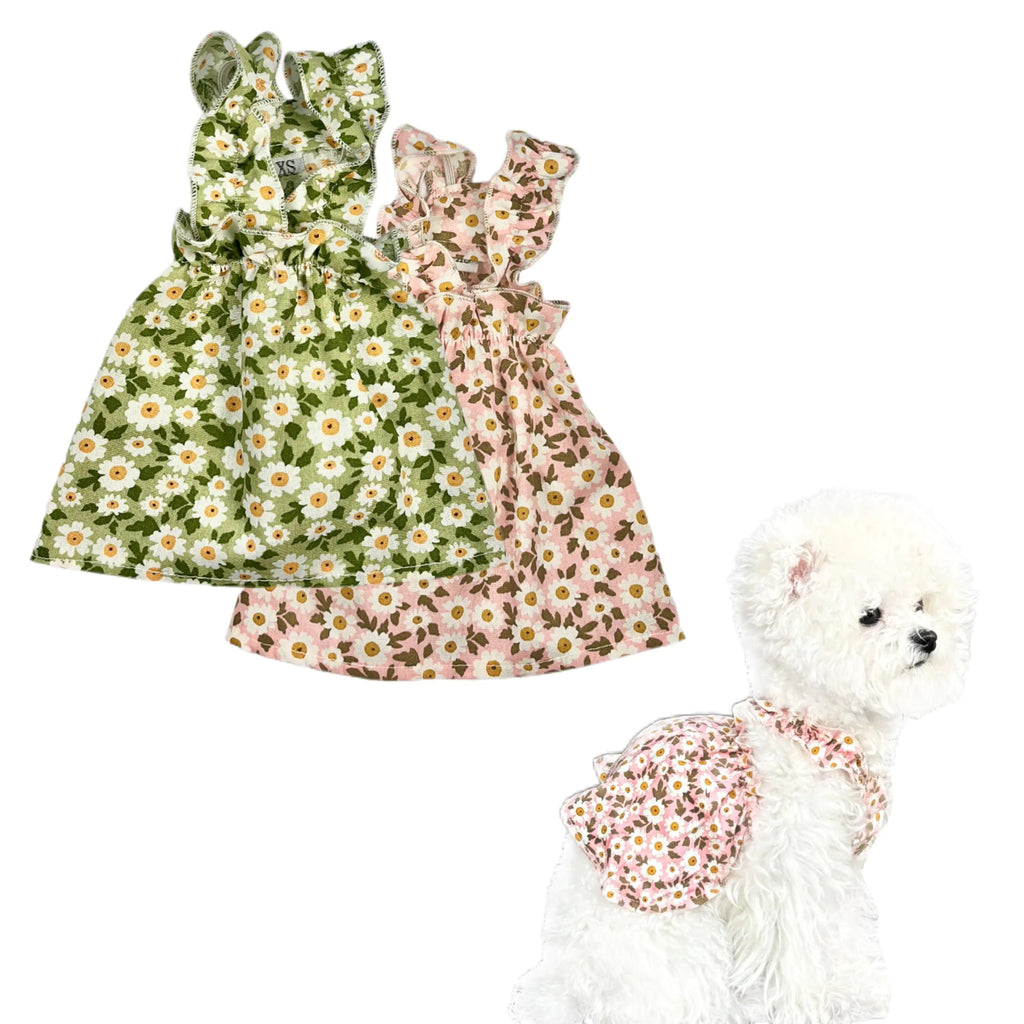 Teumessian 2Pcs Floral Dog Dress for Small Dog Girl Chihuahua Yorkies Princess Dress Summer Skirt for Puppy Kitten FloralXS - My Store